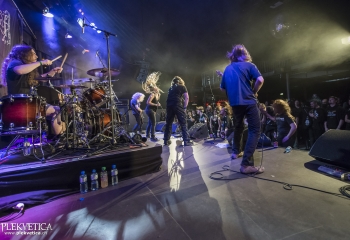 Hedera - Photo By Dänu