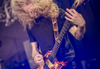 Hedera - Photo By Dänu