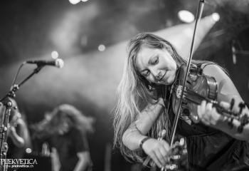 Hedera - Photo By Dänu