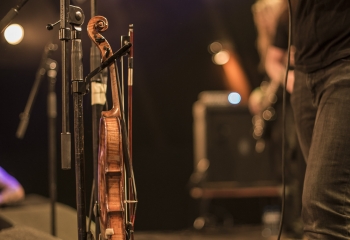 Hedera - Photo By Dänu