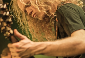 Hedera - Photo By Dänu