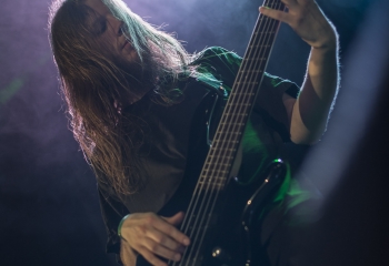 Hedera - Photo By Dänu