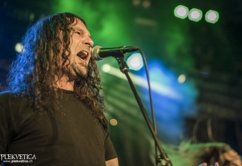 Hedera - Photo By Dänu