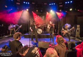 Hedera - Photo By Dänu