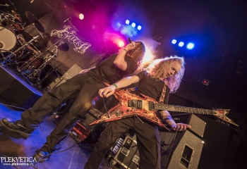 Hedera - Photo By Dänu