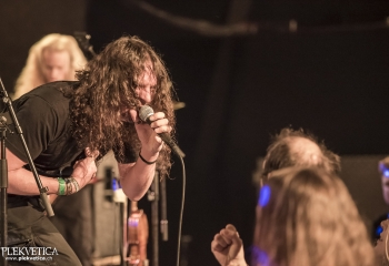 Hedera - Photo By Dänu