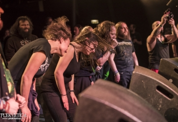 Hedera - Photo By Dänu