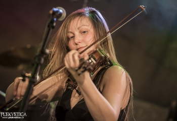 Hedera - Photo By Dänu