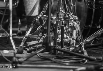 Hedera - Photo By Dänu