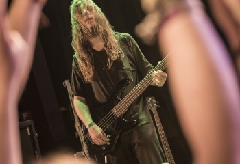 Hedera - Photo By Dänu