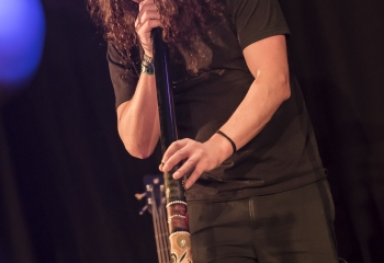 Hedera - Photo By Dänu