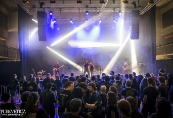 Hedera - Photo By Dänu