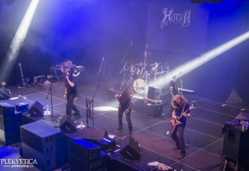 Hedera - Photo By Dänu