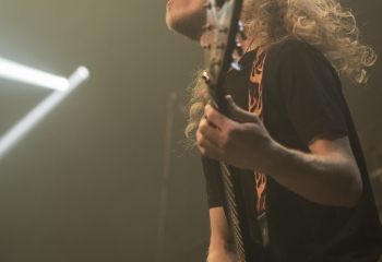 Hedera - Photo By Dänu