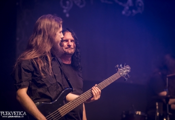 Hedera - Photo By Dänu