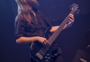 Hedera - Photo By Dänu