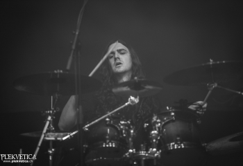 Hedera - Photo By Dänu