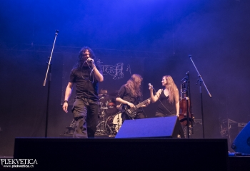 Hedera - Photo By Dänu