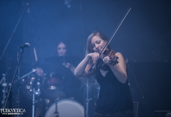 Hedera - Photo By Dänu