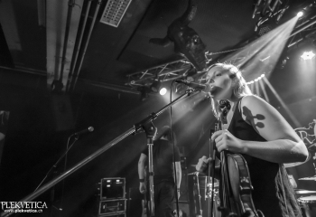 Hedera - Photo By Dänu