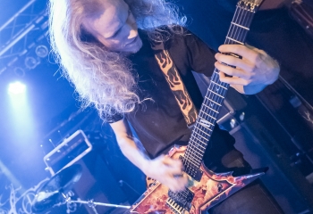 Hedera - Photo By Dänu