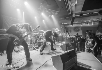 Hedera - Photo By Dänu