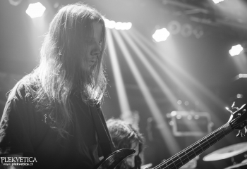 Hedera - Photo By Dänu