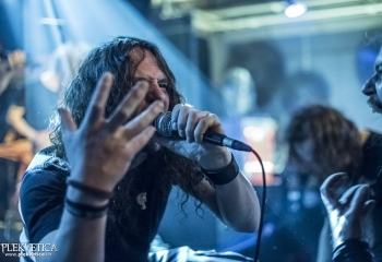 Hedera - Photo By Dänu