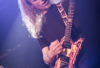 Hedera - Photo By Dänu