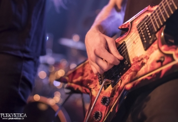 Hedera - Photo By Dänu