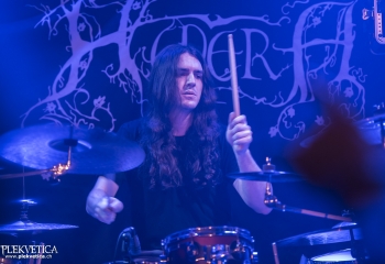 Hedera - Photo By Dänu