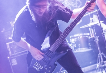 Hedera - Photo By Dänu