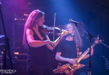 Hedera - Photo By Dänu