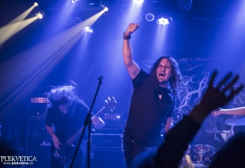 Hedera - Photo By Dänu