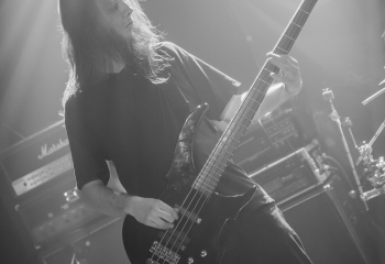 Hedera - Photo By Dänu