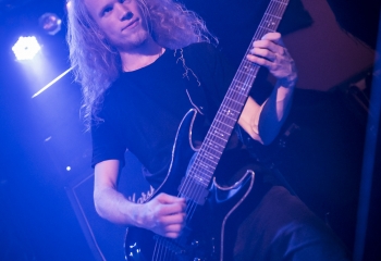 Hedera - Photo By Dänu