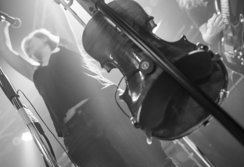 Hedera - Photo By Dänu