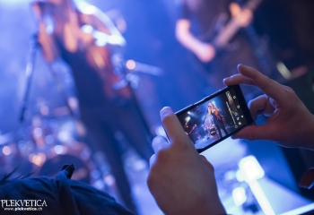 Hedera - Photo By Dänu