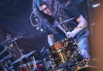 Hedera - Photo By Dänu