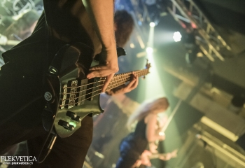 Hedera - Photo By Dänu