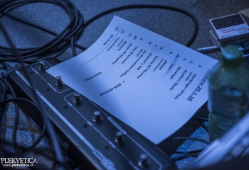 Hedera - Photo By Dänu