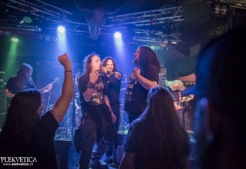 Hedera - Photo By Dänu