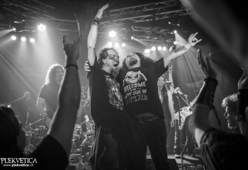 Hedera - Photo By Dänu