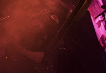 Ingested - Photo By Dänu