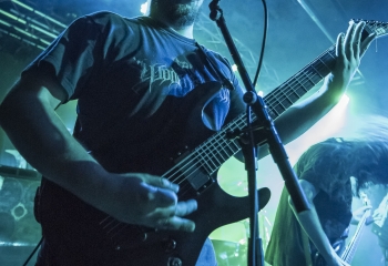 Ingested - Photo By Dänu