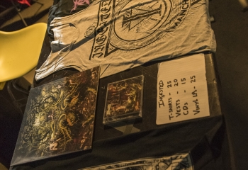 Ingested - Photo By Dänu