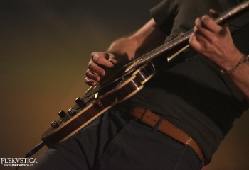 Leech - Photo By Dänu