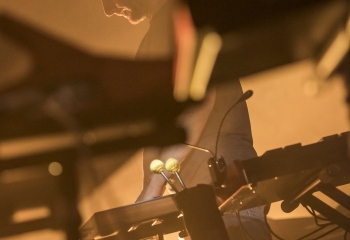 Leech - Photo By Dänu