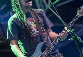 Less Than Jake - Photo By Dänu