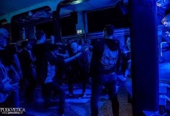 Lifes December - Photo by Marc